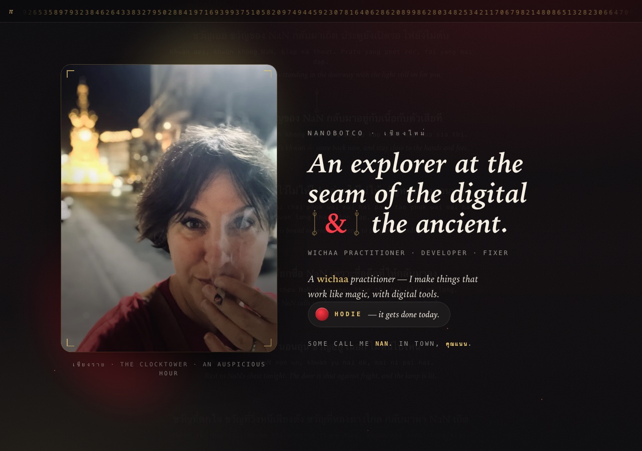Screenshot of the NaN portal